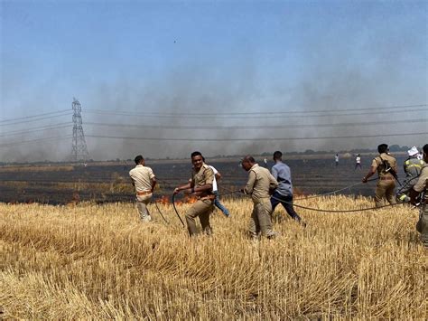 Seeing The Flames In The Fields The Villagers Arrived The Farmers