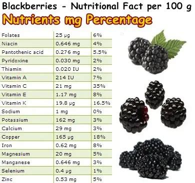 Properties And Benefits Of Blackberries Natureword