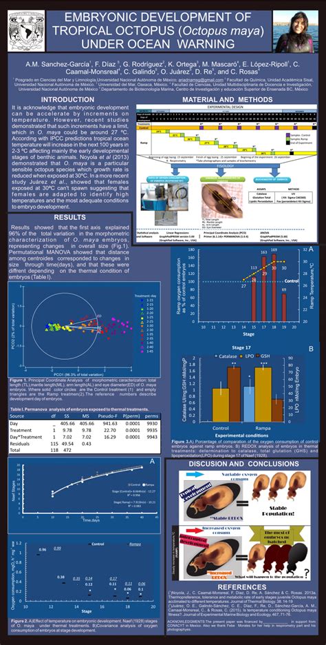 (PDF) EMBRYONIC DEVELOPMENT OF TROPICAL OCTOPUS (Octopus maya) UNDER ...