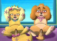 Post Crossover Daisy Palace Pets Paw Patrol Skye Cockapoo Xxgato