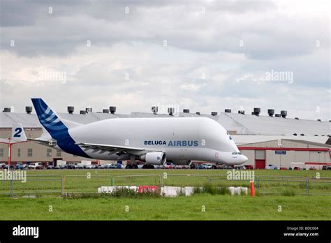 Airbus Beluga cargo aircraft carrys wings from the Airbus manufacturing ...