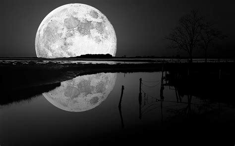 Black Moon Wallpapers - Top Free Black Moon Backgrounds - WallpaperAccess