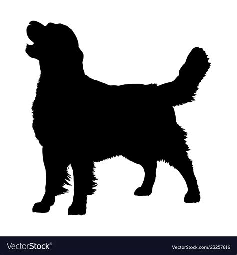 Golden retriever silhouette Royalty Free Vector Image