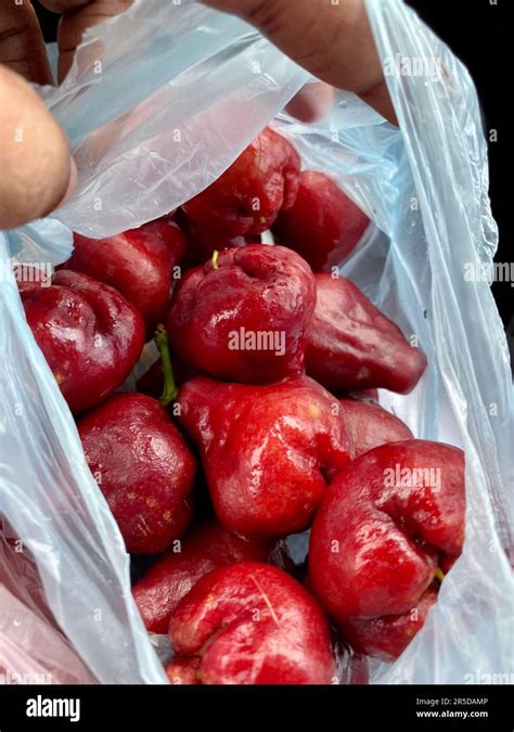 SriLankan fruits, Tropical, Visit Sri Lanka Stock Photo - Alamy