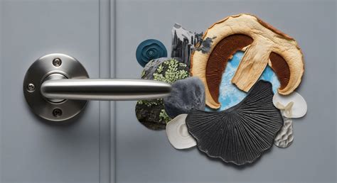 How Do D&I Metrics Connect to Long-Term Value Creation? → Learn