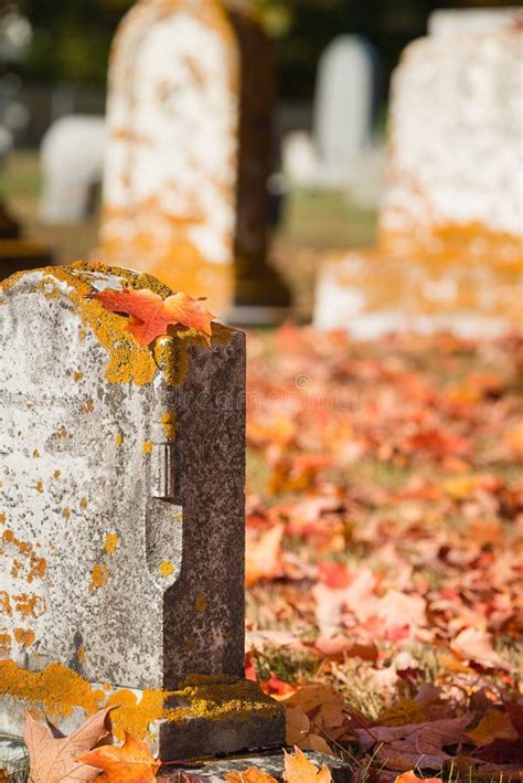 Autumn Cemetery Stock Photo Image Of Fall Buried Colors 15958486