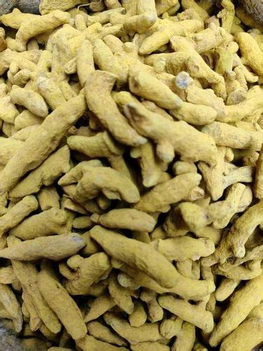 Salem Organic Dried Turmeric Finger At Rs Kg In Patna Id