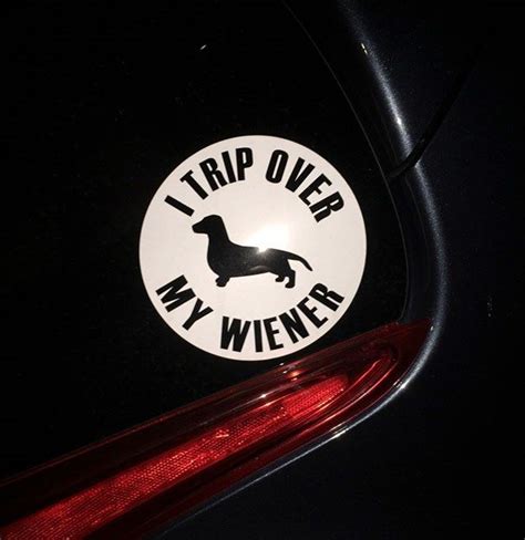 Funny Animal Bumper Stickers - 22 Pics – FunnyFoto - Page 18