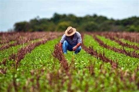 Programa Implementado Pelo Governo Zema Facilita Emiss O De Nota Fiscal