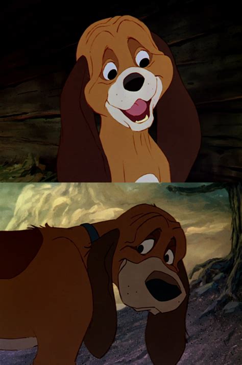 Fanpop's Favourite Fox and the Hound Characters (Least-Best) - Disney - Fanpop