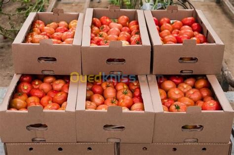 carton ondule box caisse fruits et légumes en carton Alger Algérie