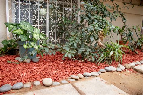 Mulching Qué es y por qué es tan beneficioso para tu jardín Mucho