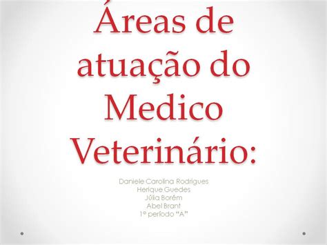 Tudo Sobre Veterin Ria Reas De Atua O Do M Dico Veterin Rio