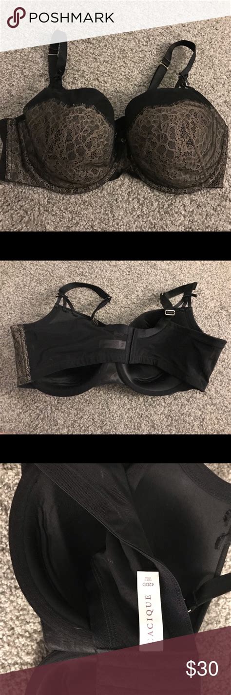 Lane Bryant Black Gold Bra 42DD