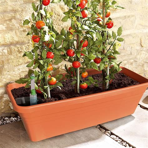 Self Watering Tomato Planter 100cm Portable Vegetable Planter Holds 7l Of Water And 18l Of