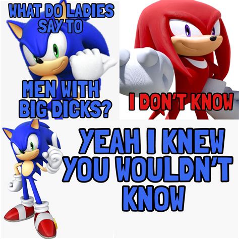 Shadow The Hedgehog, Sonic The Hedgehog, Funny Photos, Funny Images, Roses Are Red Memes ...