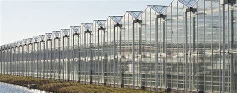 Glastuinbouw Zet In Op Groene Warmte Glastuinbouw Nederland