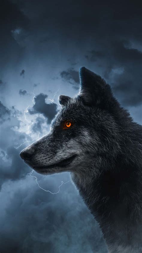 837 Wallpaper For Iphone Wolf Pics MyWeb