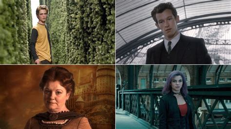 Harry Potter: 10 Most Famous Hufflepuff Characters