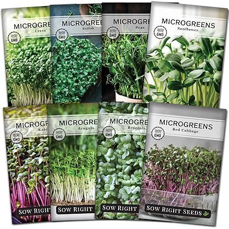 Amazon Heirloom Sprouting Microgreen Seed Variety Pack