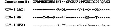 Amino Acid Sequence Alignment Of The Gp120 V3 Loops Of Hiv 1 Strains