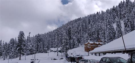 Gulmarg The Meadow Of Flowers Kashmir Tickets Tours Packages