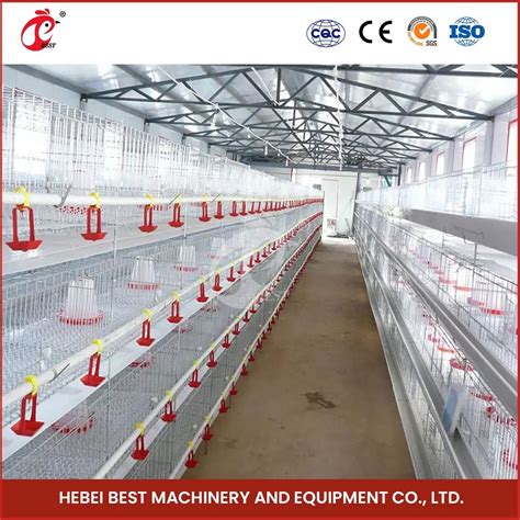 Bestchickencage H Frame Broiler Cages China 5000 Chickens Cage