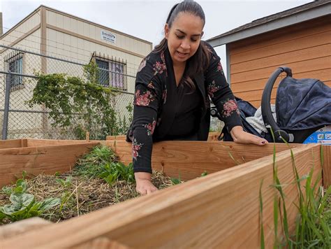 Huerta Urbana Cultivates Denver’s Next Generation of Farmers - 5280