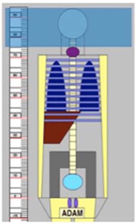 Mathematical Phantom From Ct Expo Showing The Range Of Scanning During Download Scientific