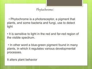 Phytochrome Structure And Function By Nour Deeb Ppt