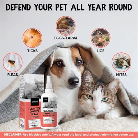 Beware: The Hidden Danger Lurking In Your Pantry