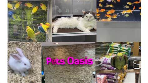 Pets Oasis Khobar Ksa Youtube