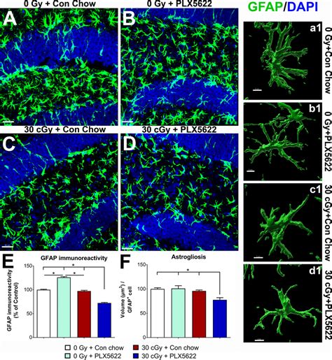 Effect Of He Irradiation Or Plx Treatment On Astrogliosis A F