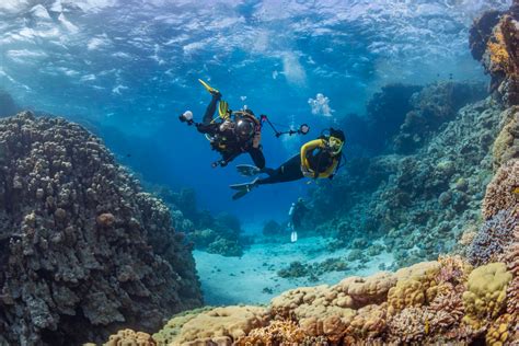 Scuba Diving In Dubai Holiday Planner Dubai Uae