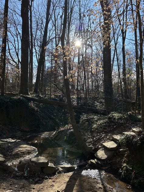 Chattahoochee Nature Center Forest Bathing Finder