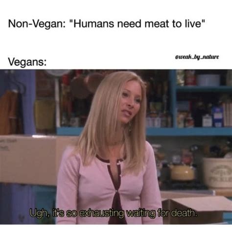 500 Best Vegan Memes Hilarious Vegan Memes Totally Vegan Buzz