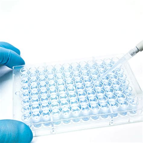 In vitro assays | Revvity