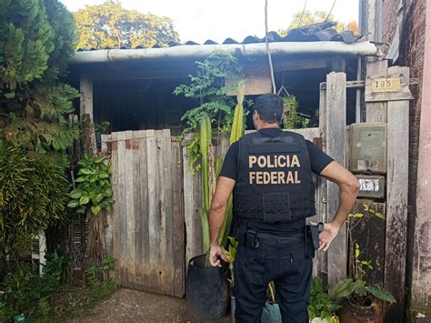 Pf Prende Homem Suspeito De Armazenar E Compartilhar Material De Abuso