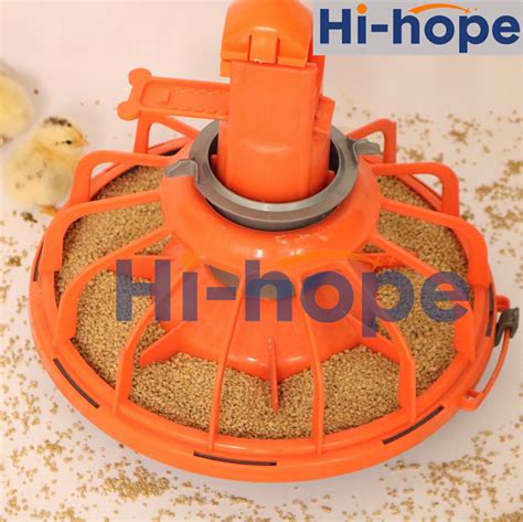 Floor Rearing Farm Equipment Full Automatic Poultry Chicken Auger Pan