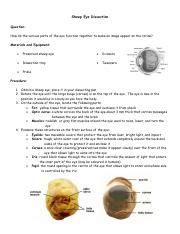 Sheep Eye Dissection Pdf Sheep Eye Dissection Question How Do The