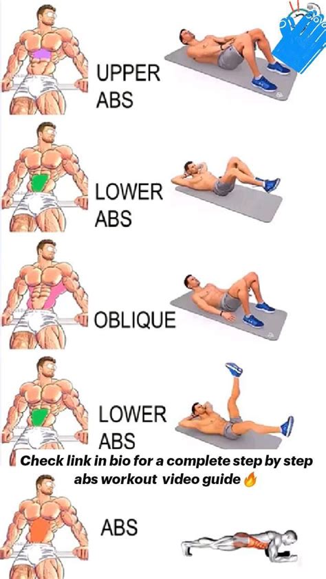 Abs workout for beginners at home in 2023 | Abs workout, Lower abs ...