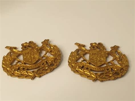 South African Army A Pair Of South Africa Ex Unitate Vires Military Saa Army Brass Badges