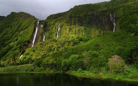 Green forest trees, waterfall, nature HD wallpaper | Wallpaper Flare