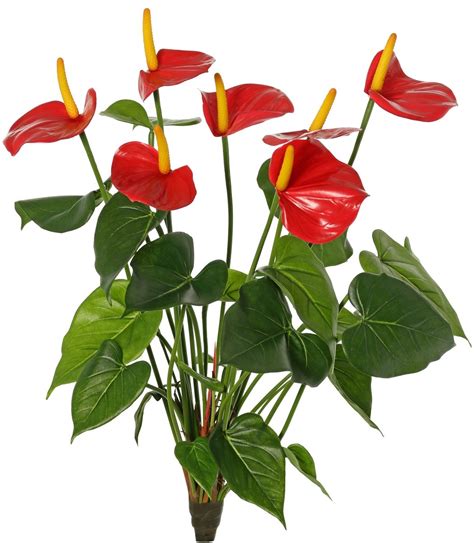 Kunstplanten Anthurium Top Art Kunstbloemen