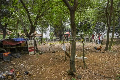 Rencana Penertiban Hutan Kota Uki Antara Foto