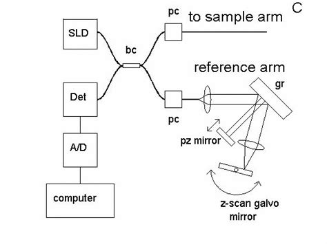 Schematic Of The Interferometer The Reference Arm Axially Scans The