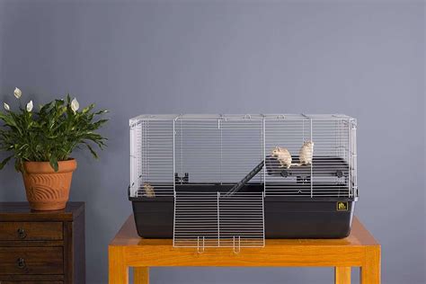 Top Ten Best Hamster Cages - IMAGESEE