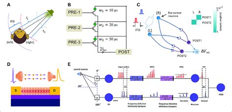 A Schematic Illustration Of Binaural Effect Where The ITD Provides