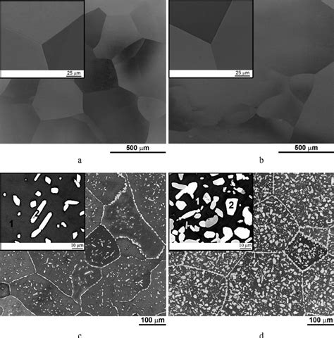 Microstructure Of Alcr X Nbtiv X 1⁄4 0 05 1 15 Alloys In The