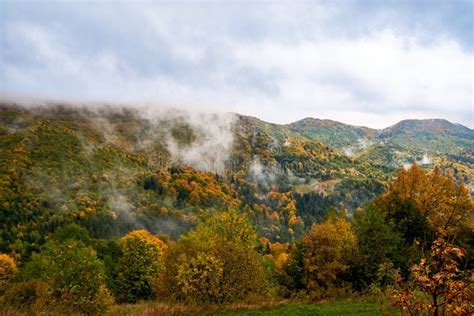 Berglandschap Met Wolken En Kleurrijke Bomen Stock Foto Image Of